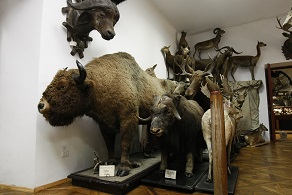 zoo_muzej