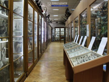 Історія однієї мандрівки у часі: екскурсія усіма музеями Львівського університету
